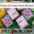 African Black Ant Pills 33
